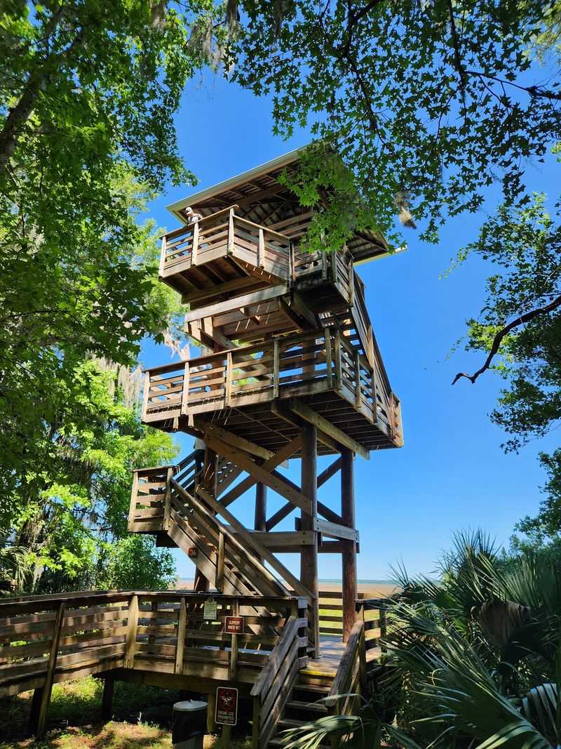 The Observation Tower Views