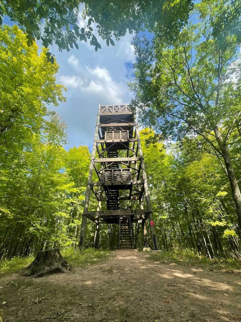 The Observation Tower and Its Leafy Surprise