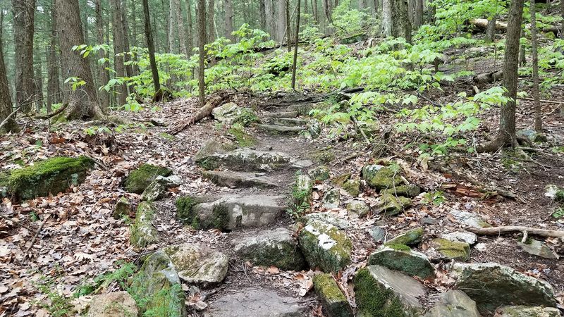 The Optional Loop Trail: A Workout in Disguise