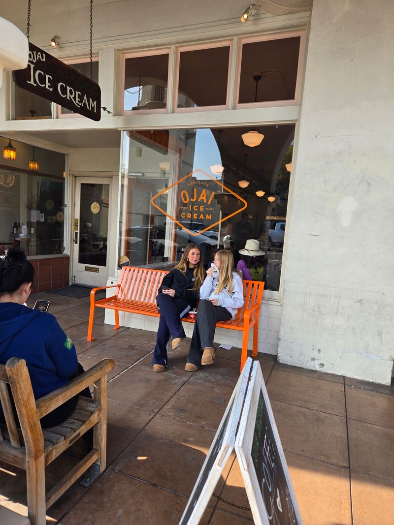 The Orange Bench and People Watching The Orange Bench and People Watching