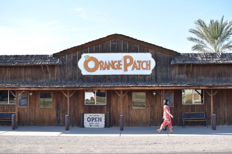 The Orange Patch, Mesa