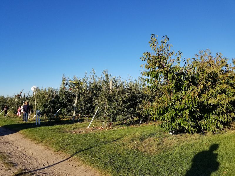 The Orchard on 4 Mile Road