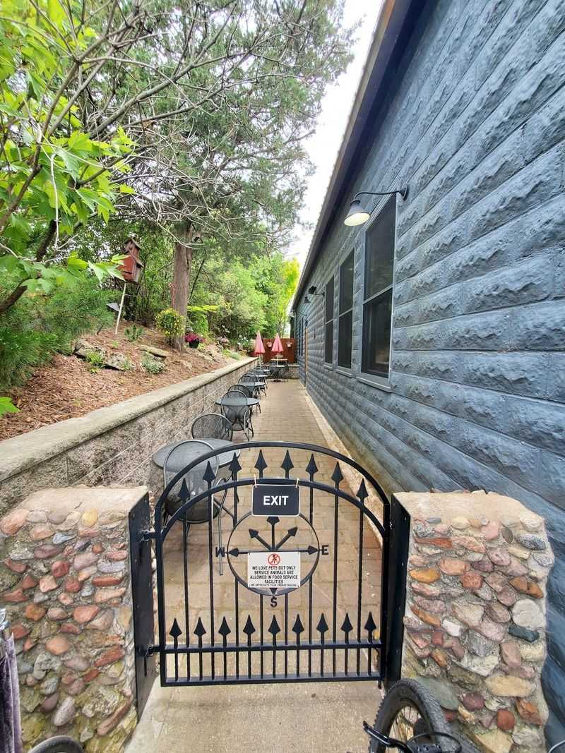 The Patio Locals Quietly Guard