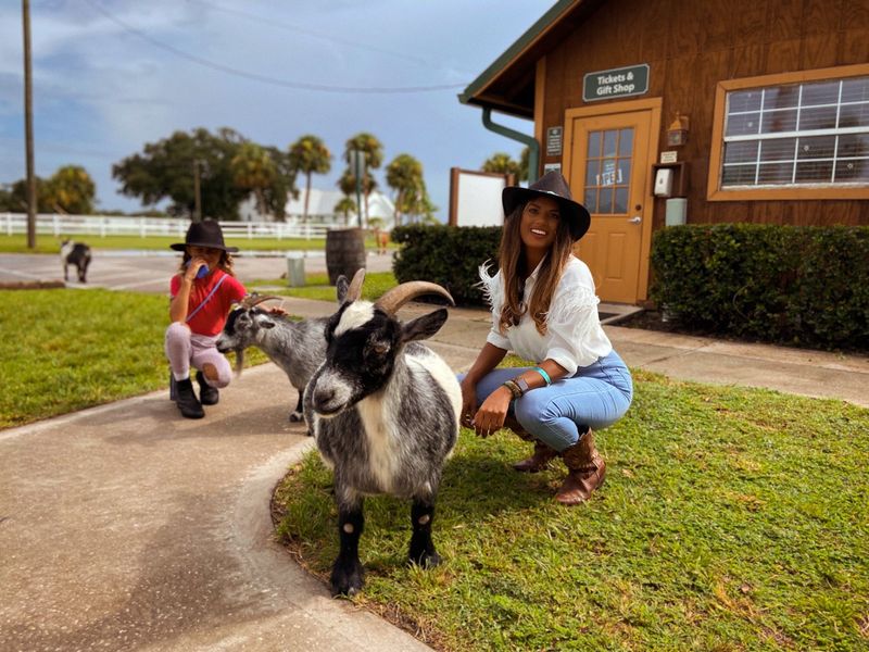 The Petting Farm and Pony Rides The Petting Farm and Pony Rides