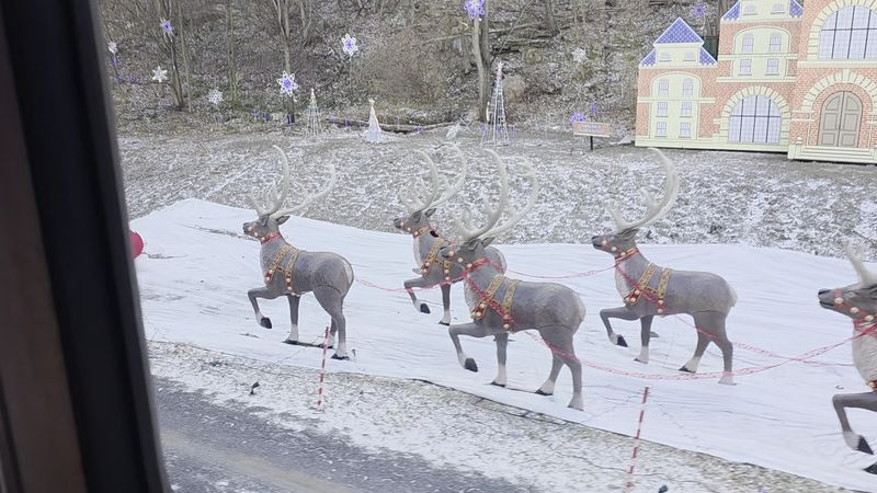The Polar Express Holiday Run