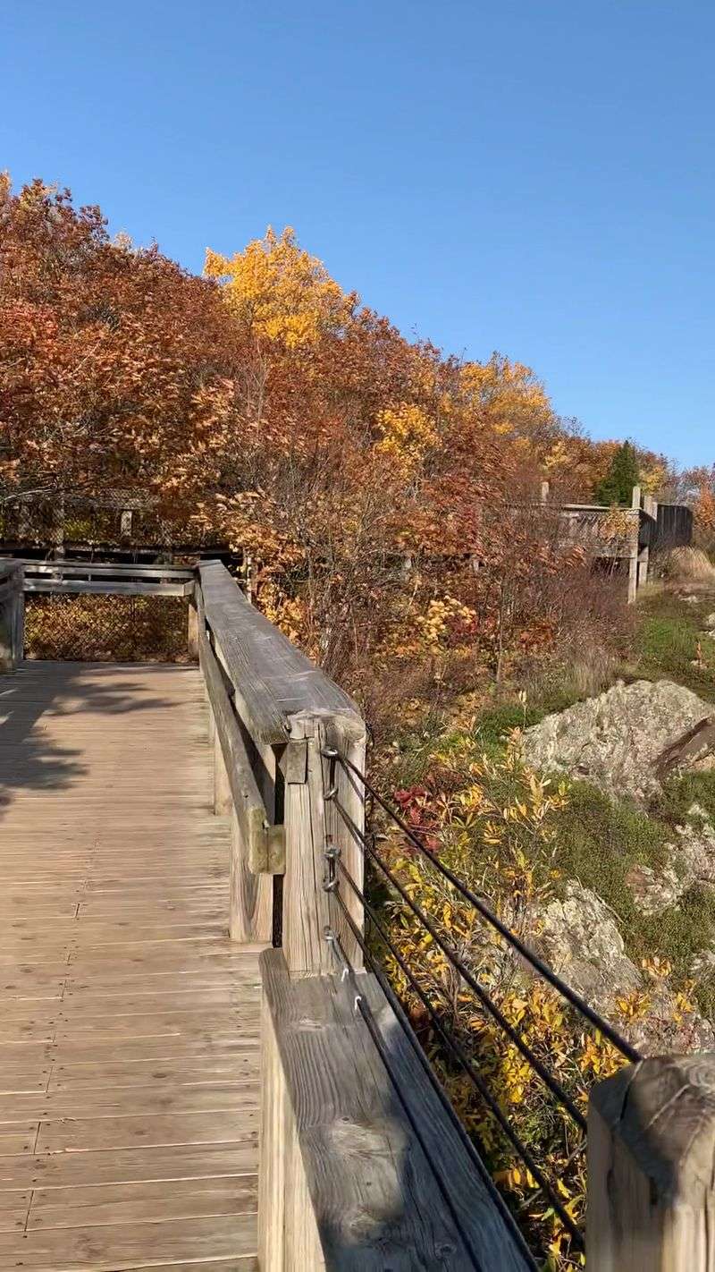 The Presque Isle River Walk