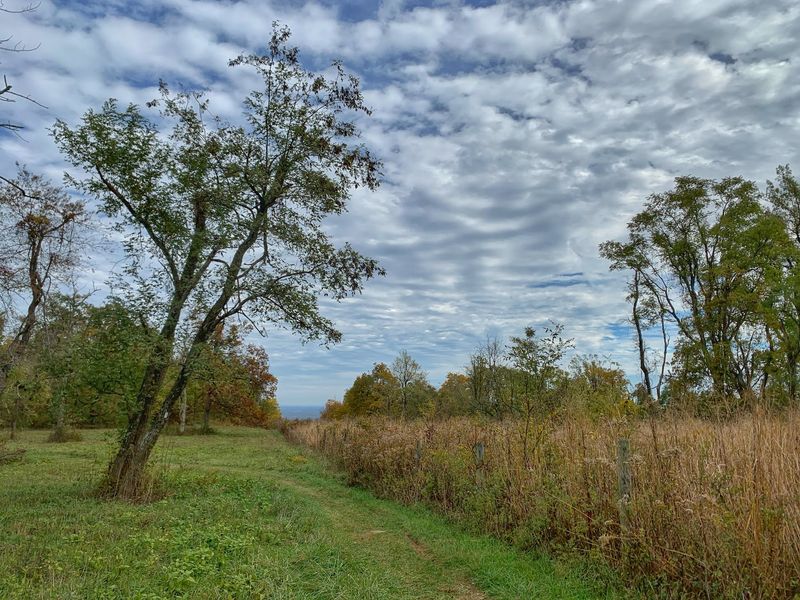 The Primitive Camping Experience