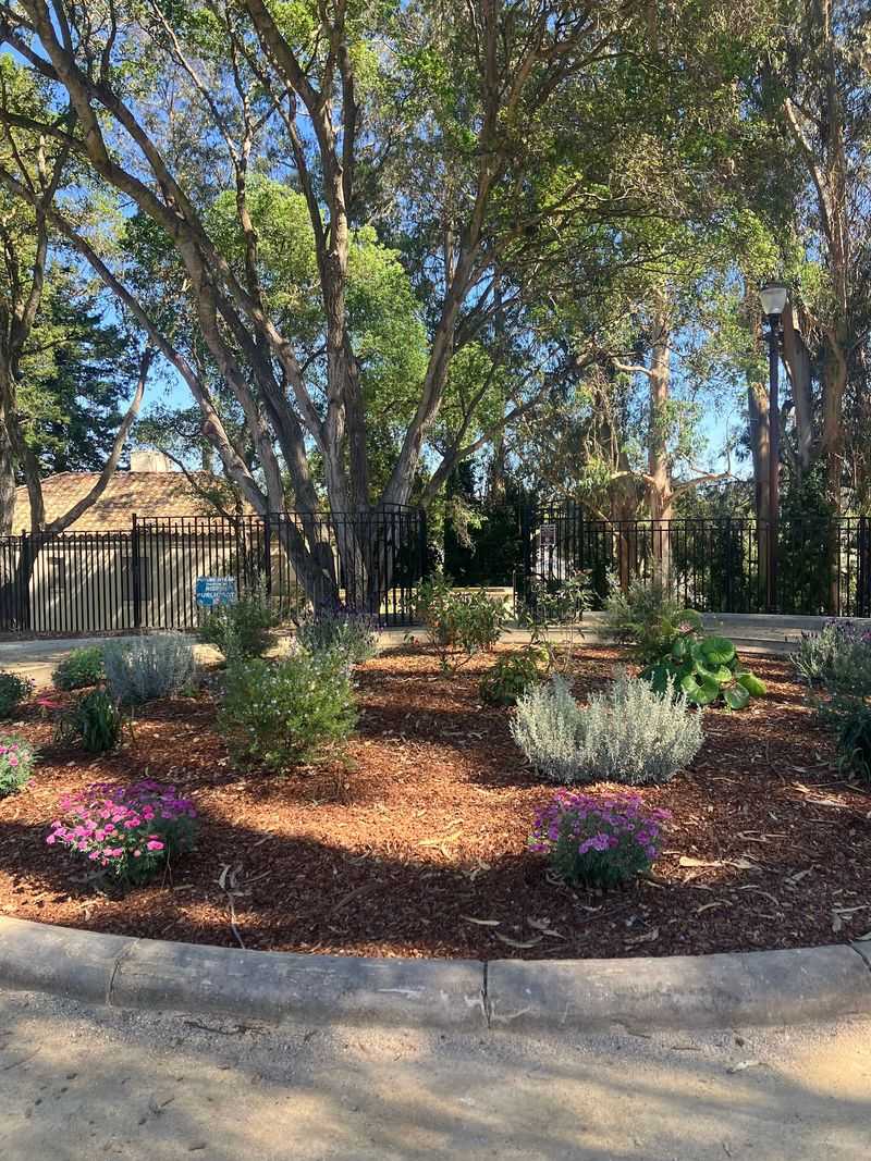 The Public Park That Finally Opened Around It