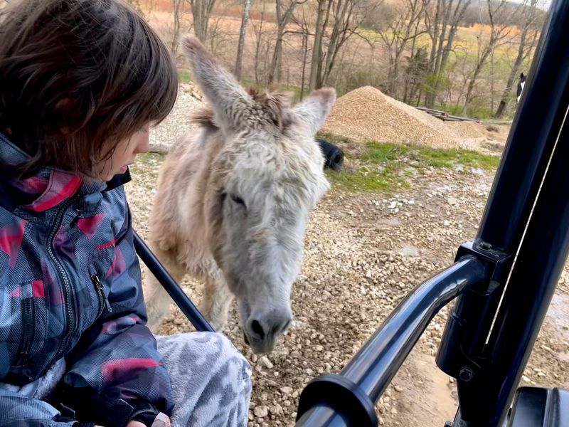 The Red Wolf Sanctuary is not a restaurant, so instead: Joseph Decuis, Roanoke, Indiana