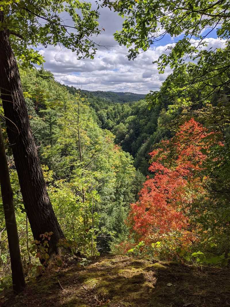 The Rim Trails Above The Water