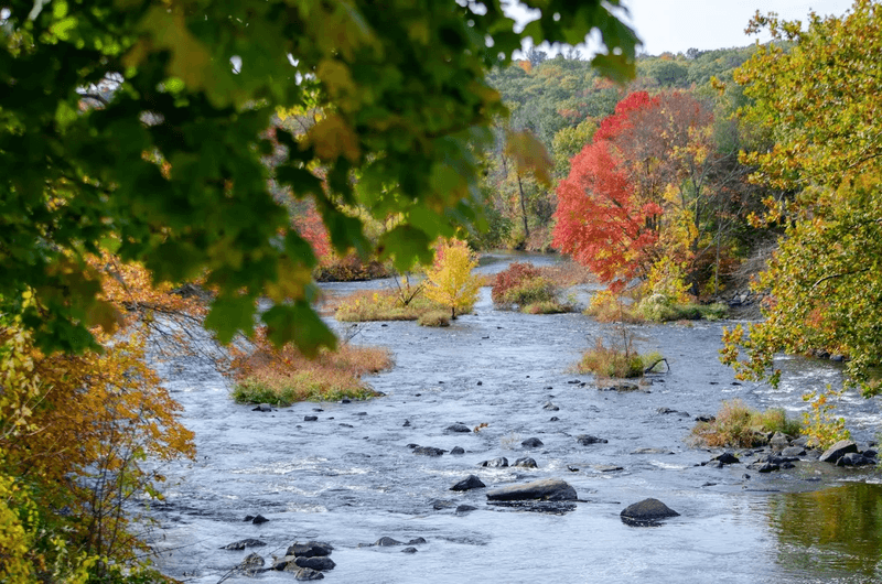 The River That Runs Through It All