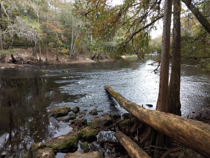 The River That Vanishes Underground