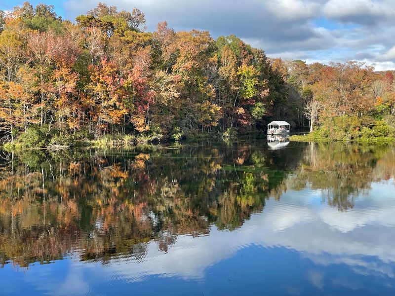 The Riverboat Tour Everyone Talks About