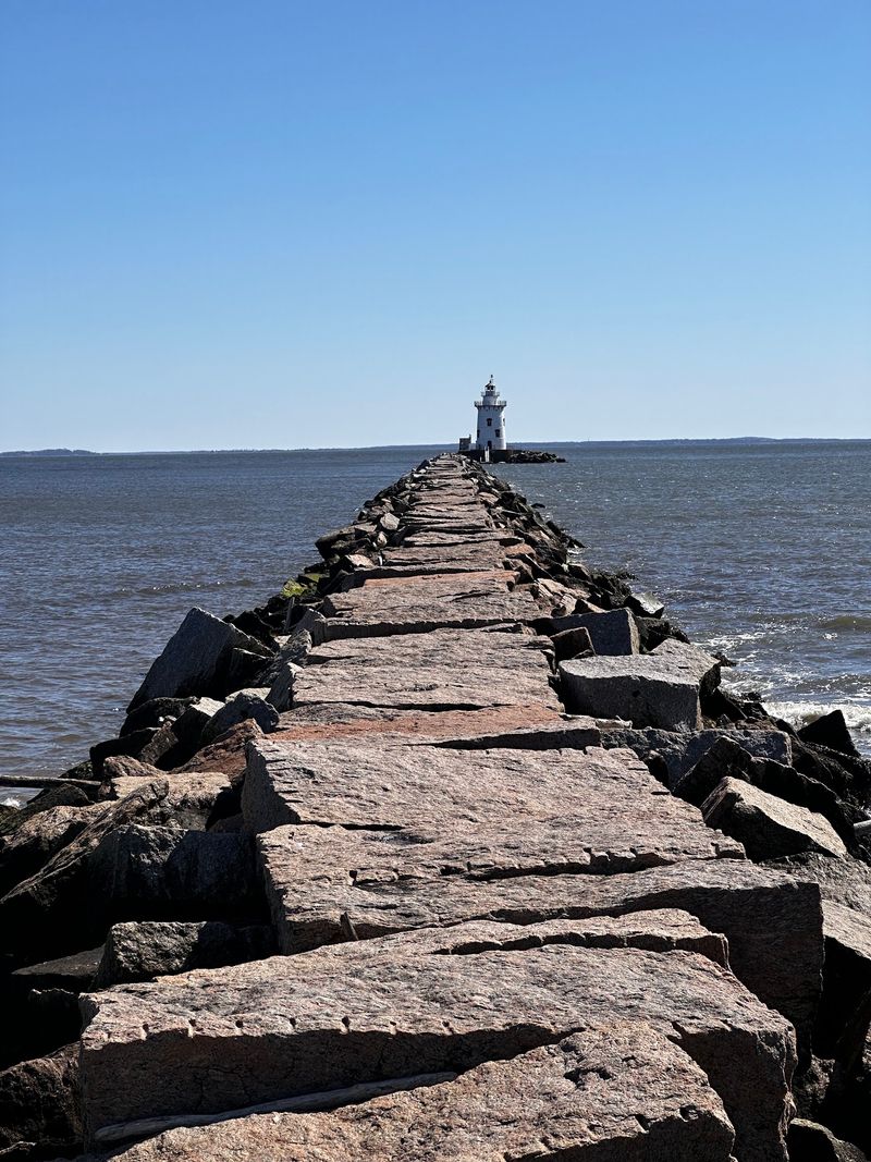The Rocky Path for Determined Walkers