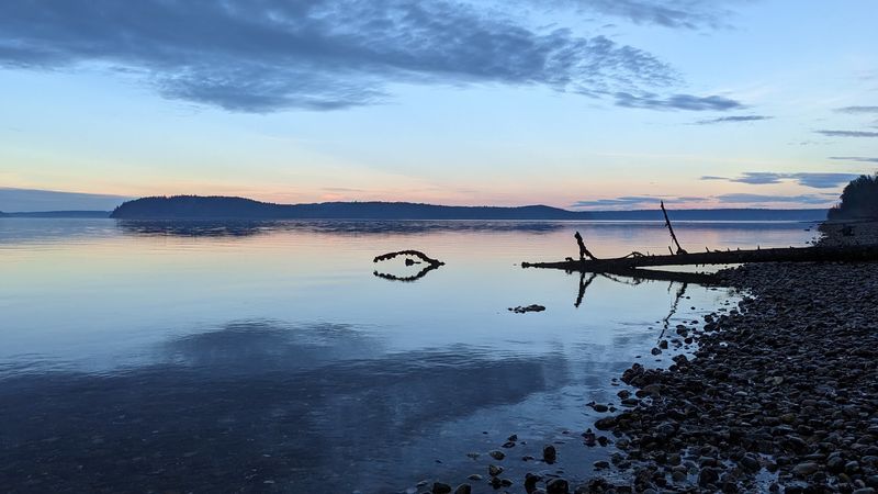 The Rocky, Shell-Strewn Shore