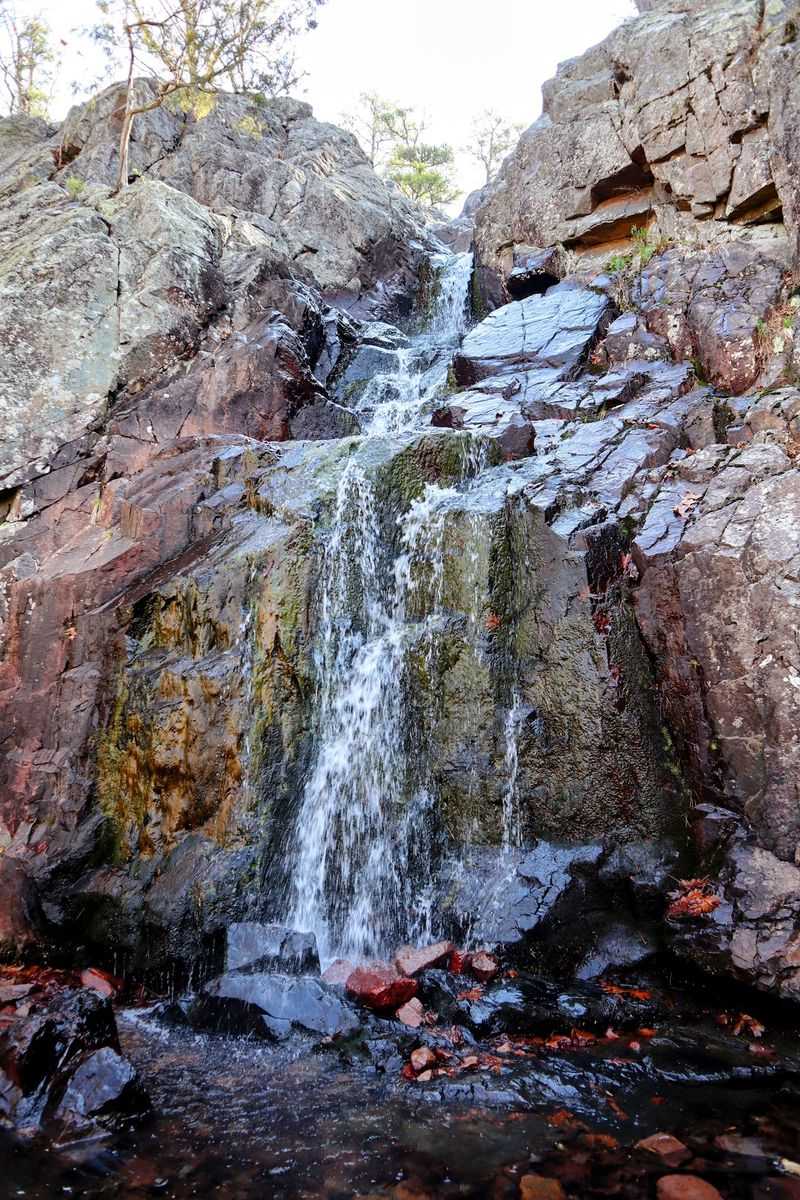 The Rugged Mina Sauk Falls Trail Loop The Rugged Mina Sauk Falls Trail Loop