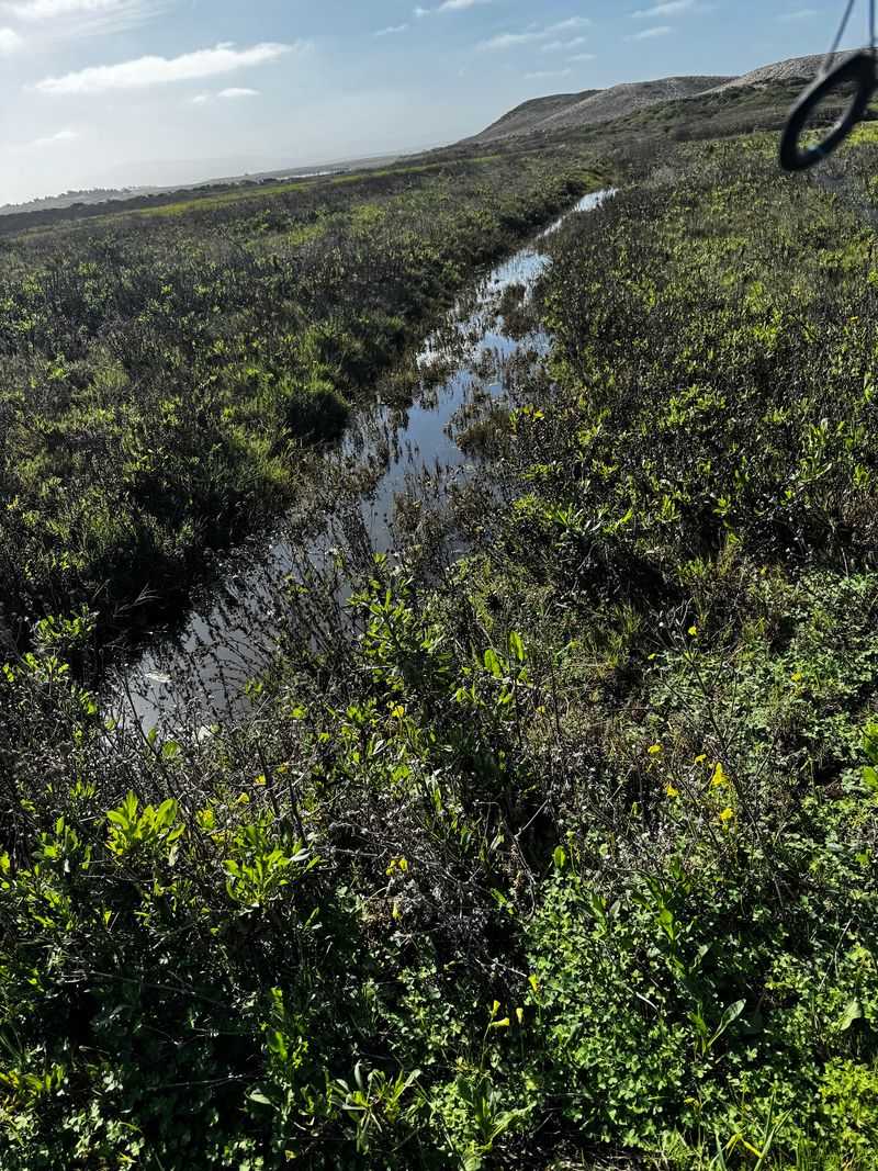 The Salinas River and the Landscape Around Town