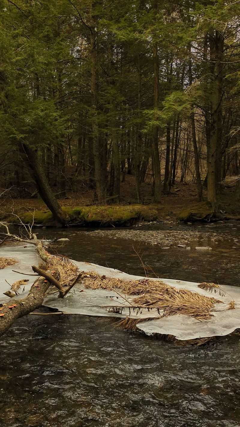 The Salty Spring That Gave The Park Its Name The Salty Spring That Gave The Park Its Name