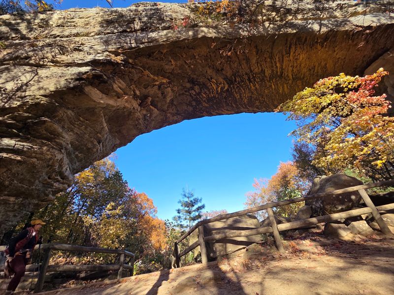 The Sandstone Wonder at the Center of It All