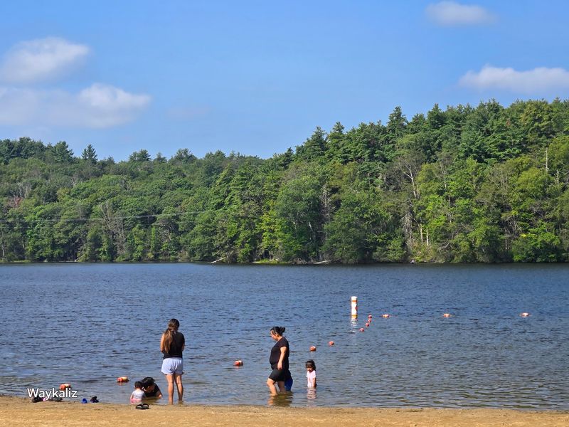 The Sandy Beach And Swimming Area