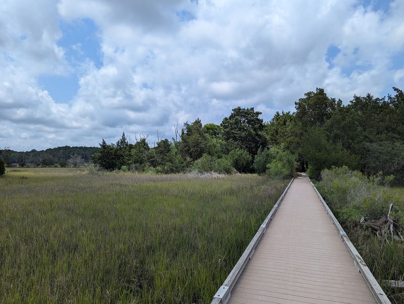 The Secret Walkable Island in the Marsh The Secret Walkable Island in the Marsh