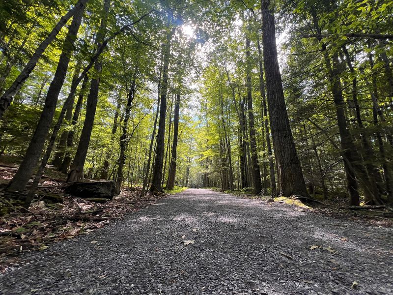 The Shaded Walk That Keeps It Easy The Shaded Walk That Keeps It Easy