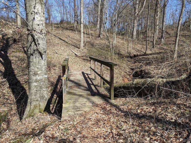 The Sinkhole Trail Above Ground