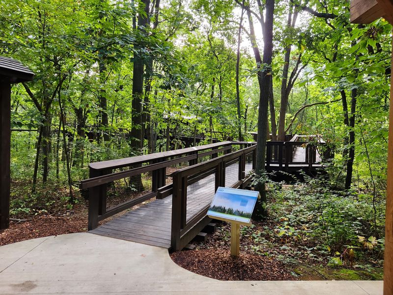 The Skywalk That Steals The Show