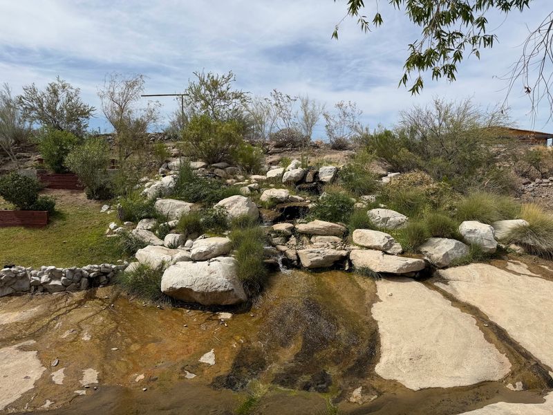 The Spring-Fed Waterfall Out Back