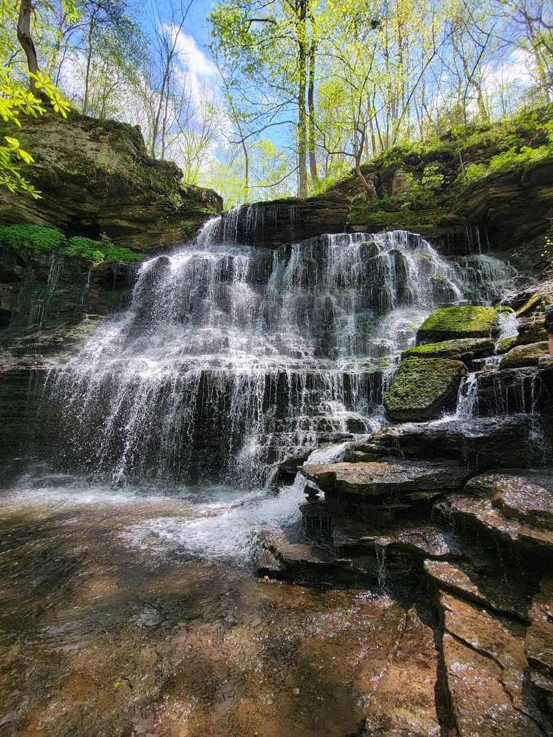 The Star of the Show: Machine Falls The Star of the Show: Machine Falls