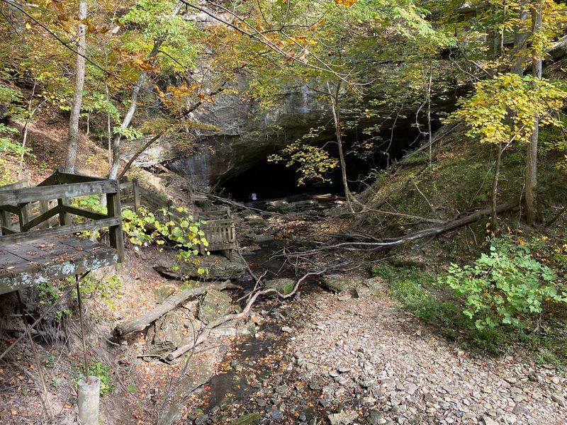 The Story Carved Into This Hollow