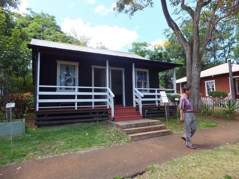The Sugar Plantation Story Behind It All The Sugar Plantation Story Behind It All
