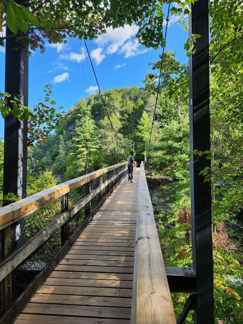 The Swaying Suspension Bridge