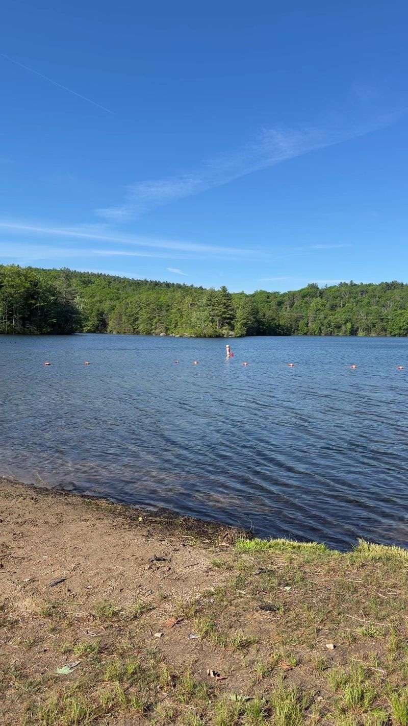 The Swimming Beach That Cools Off Summer Days