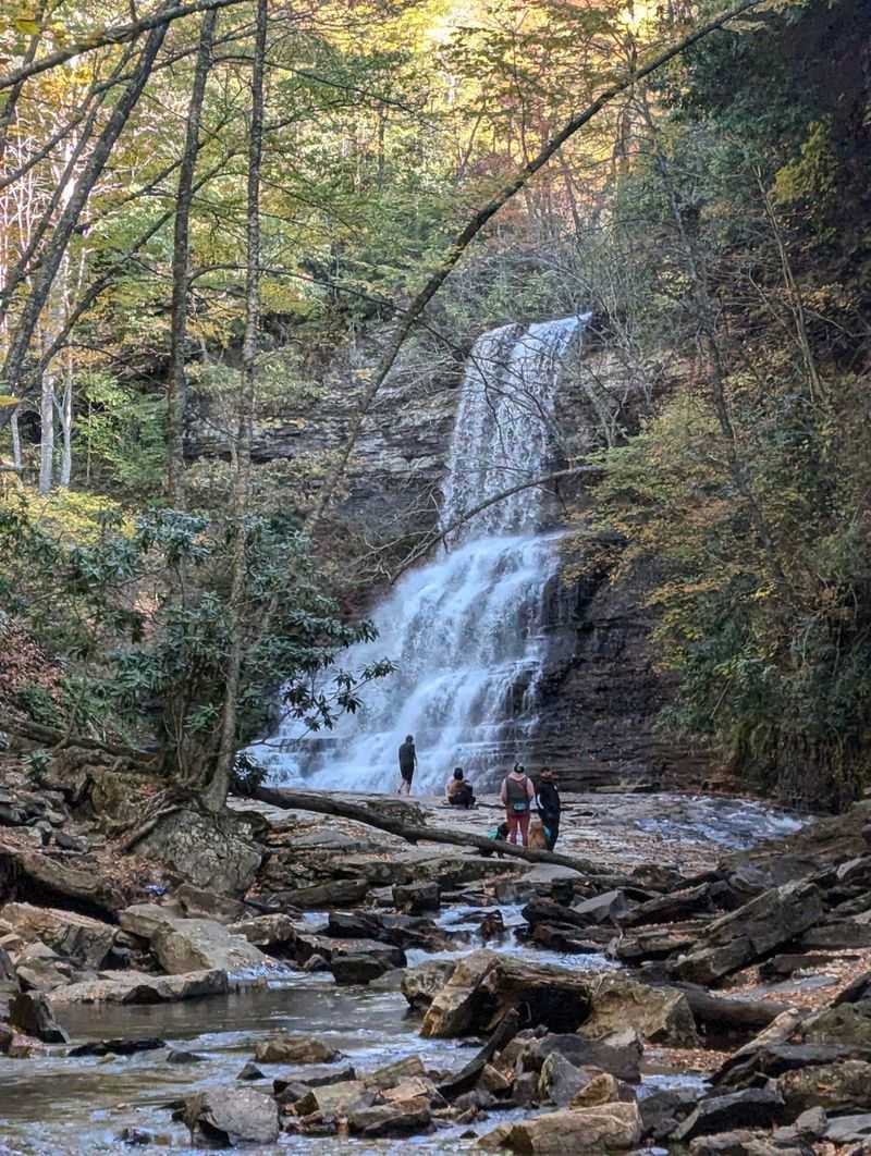 The Swimming Hole Situation