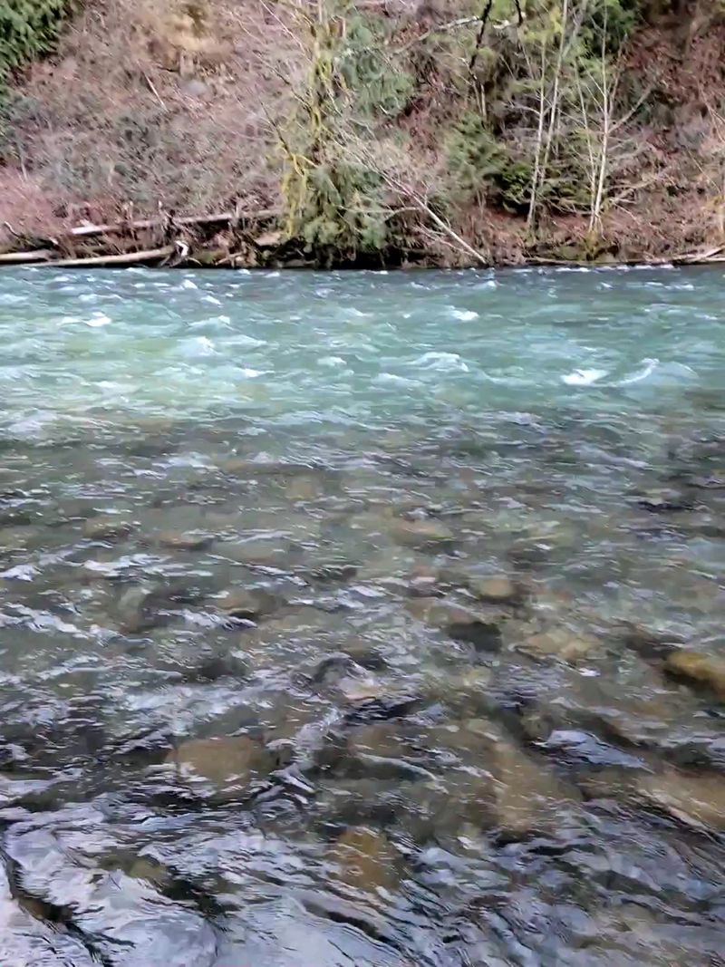 The Swimming Hole and Water Safety The Swimming Hole and Water Safety