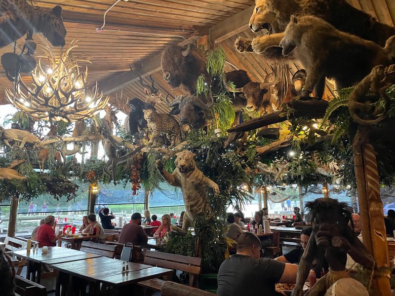 The Taxidermy Collection That Steals the Show The Taxidermy Collection That Steals the Show