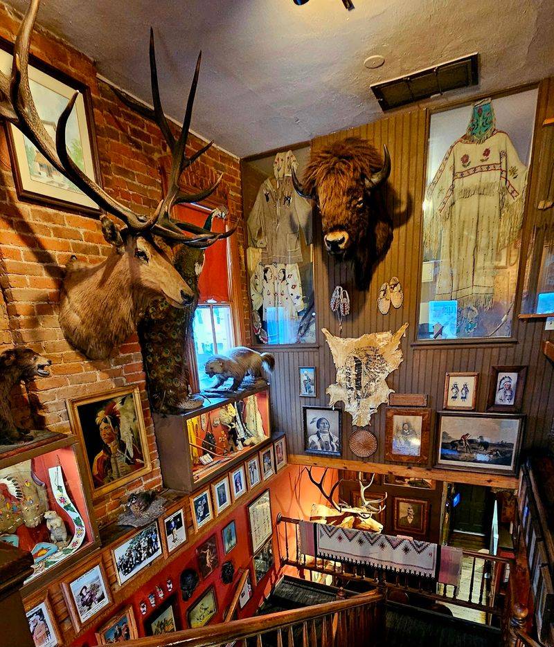 The Taxidermy That Turns Dinner Into a Museum