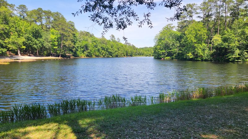 The Ten-Acre Lake and Its Paddle Boats