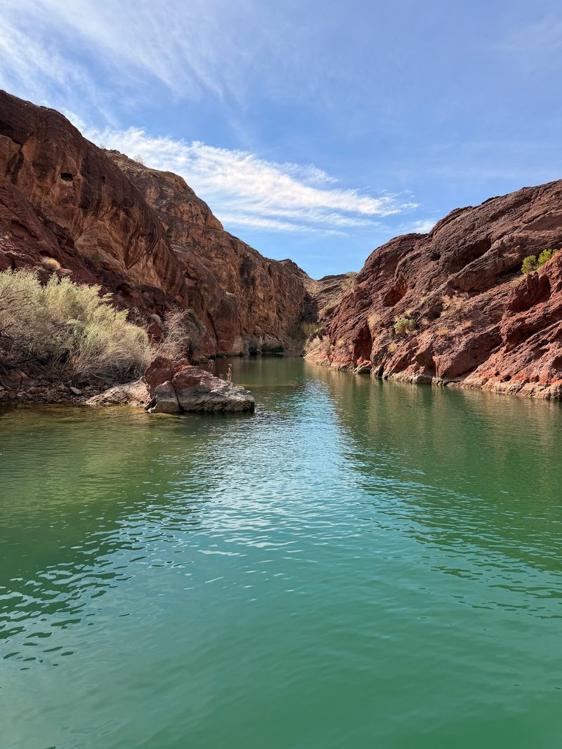 The Topock Gorge Excursion: A Different Kind of Magic