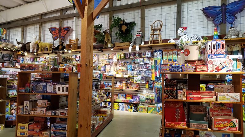 The Toy Store: Nostalgia and Novelty in One Fun Stop