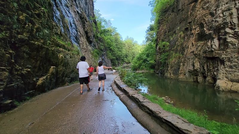 The Trail That Follows Cedar Creek