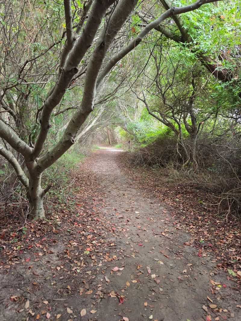 The Trail's Surprising Starting Point