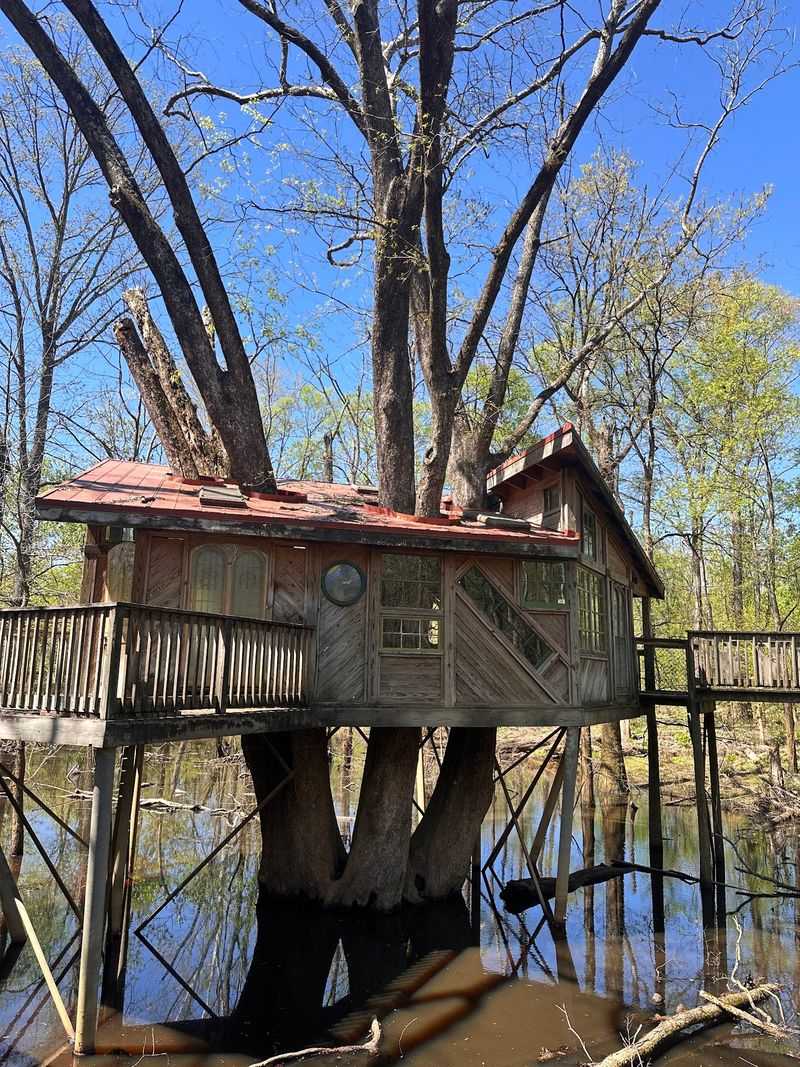 The Treehouse That Kids Cannot Resist The Treehouse That Kids Cannot Resist