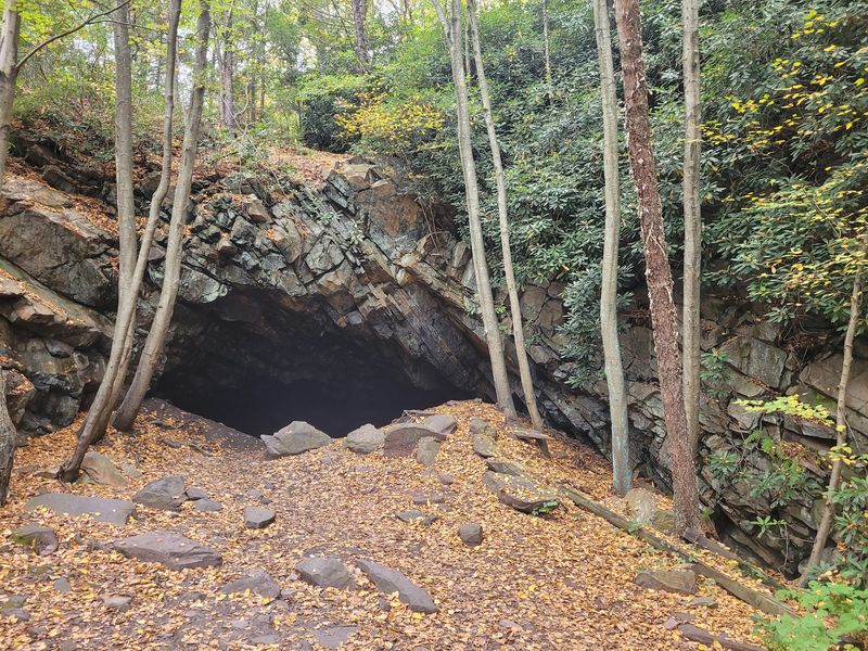 The Tunnel and Cascades Hidden Off the Center Lot