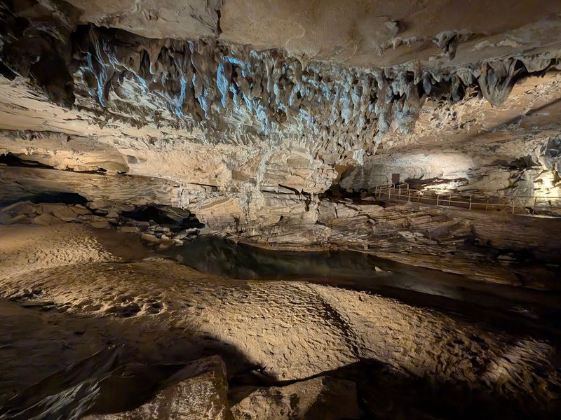 The Underground World That Steals The Show