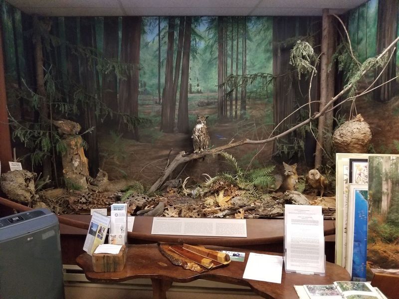 The Visitor Center and Gift Shop Worth Stopping In