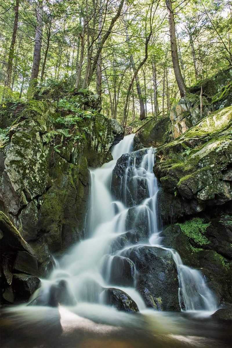 The Waterfall Itself: A Cascading Fairytale Scene