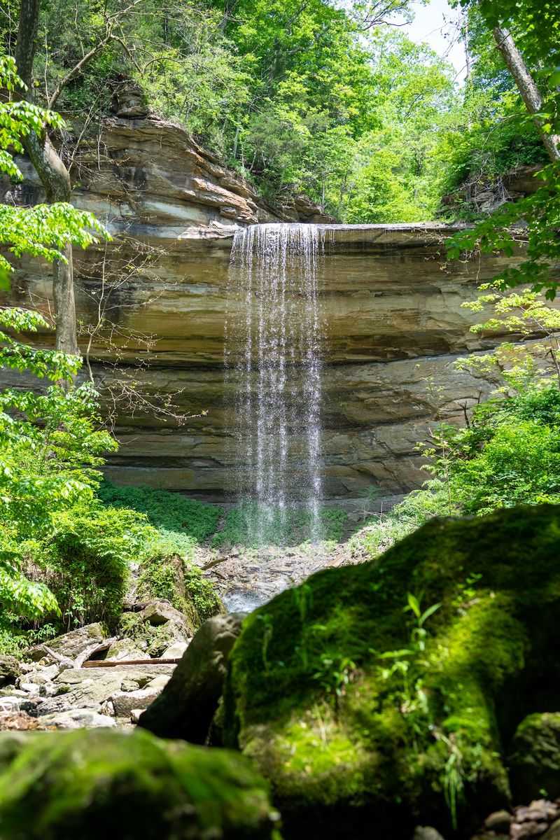The Waterfalls That Steal the Show
