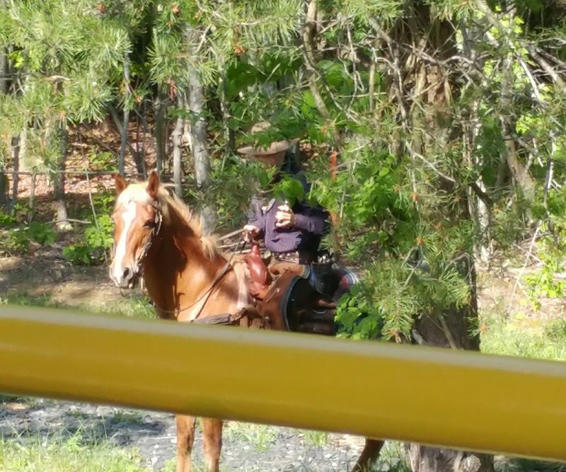 The Wild West Comes To The Rails